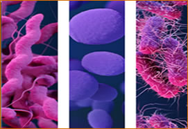 Antibiotic Resistance: Review of Serious Threats (775)