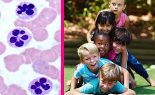 Overview of Pediatric Hematology (809)