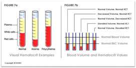 Understanding Components of the CBC (810)