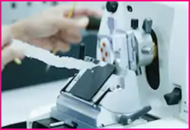 Histology Microtechniques (815)
