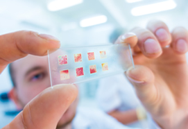 Immunohistochemistry in Breast Pathology (833)