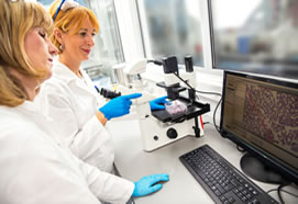 Assay Validations: Make Sure You Do It Right The First Time (840)