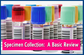 Specimen Collection: A Basic Review (862)